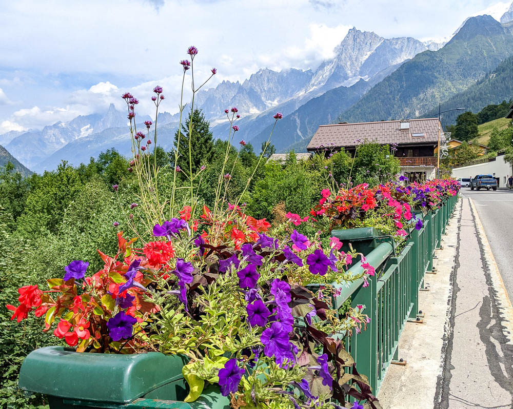 colorful potted flowers in front of tall gray cloudy mountains