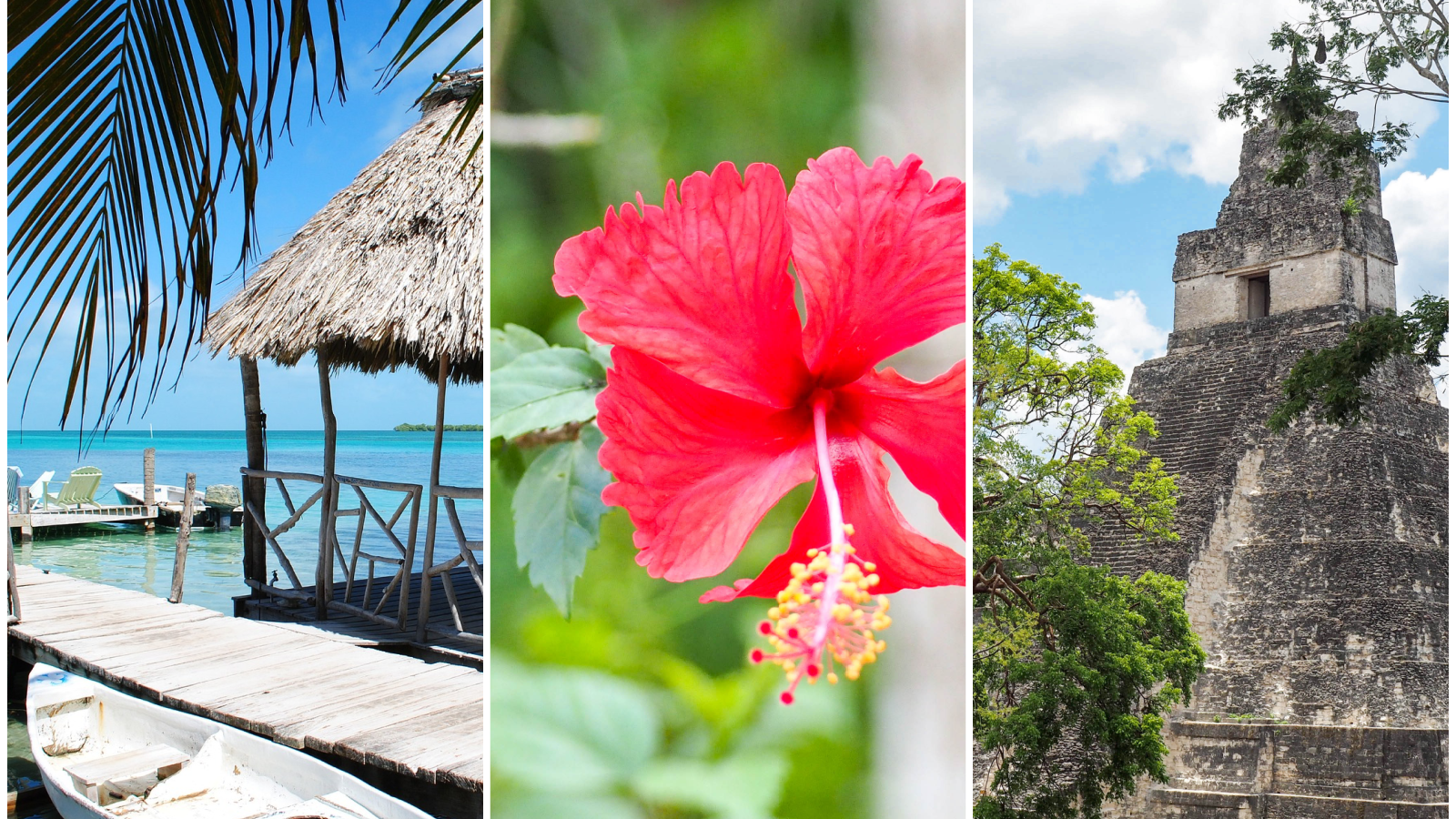 The Perfect 7-Day Belize Itinerary: One Week of Jungle and Islands | What to do in Belize, When to visit Belize, How long to spend in Belize, San Ignacio, Caye Caulker, day trip to Tikal in Guatemala