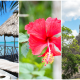 The Perfect 7-Day Belize Itinerary: One Week of Jungle and Islands | What to do in Belize, When to visit Belize, How long to spend in Belize, San Ignacio, Caye Caulker, day trip to Tikal in Guatemala