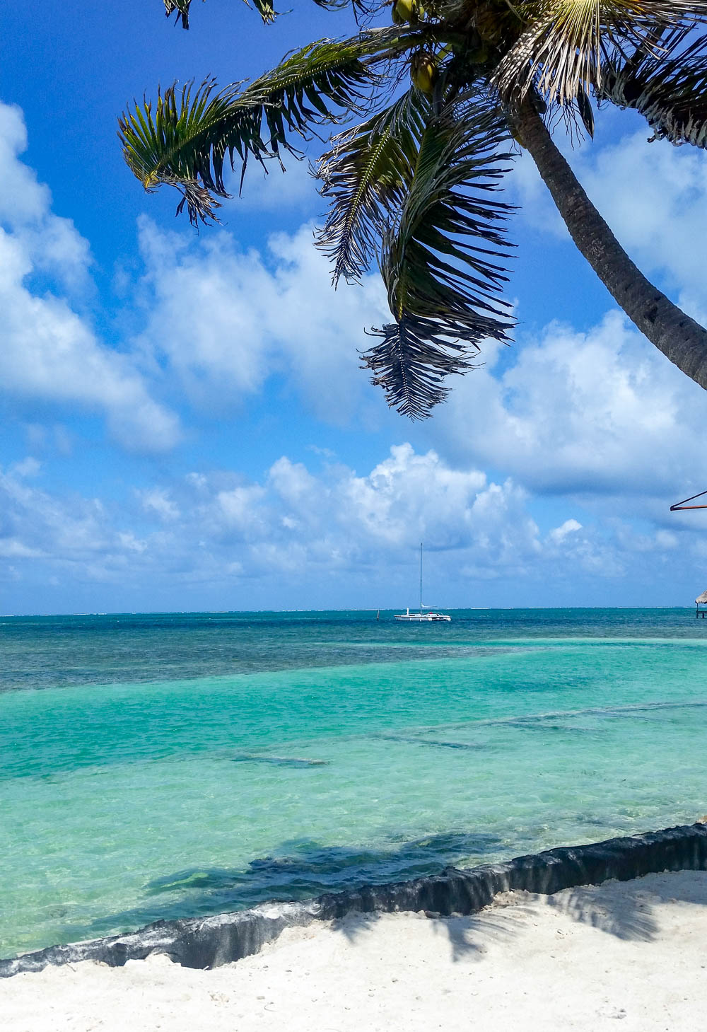 rainforest tour belize