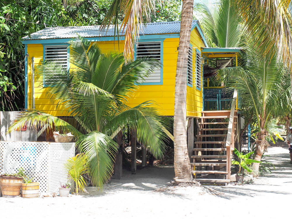 rainforest tour belize