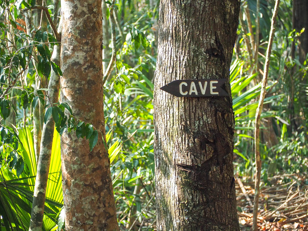 rainforest tour belize