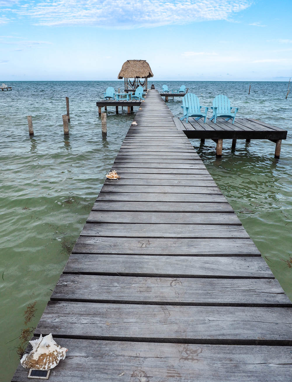 rainforest tour belize