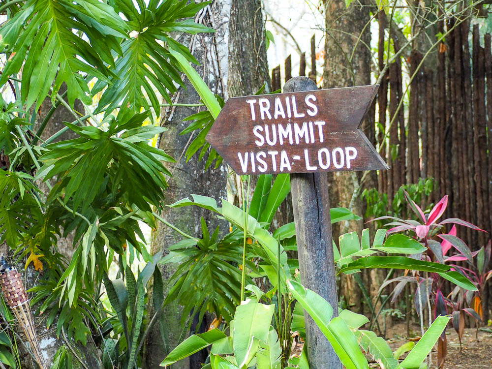 rainforest tour belize