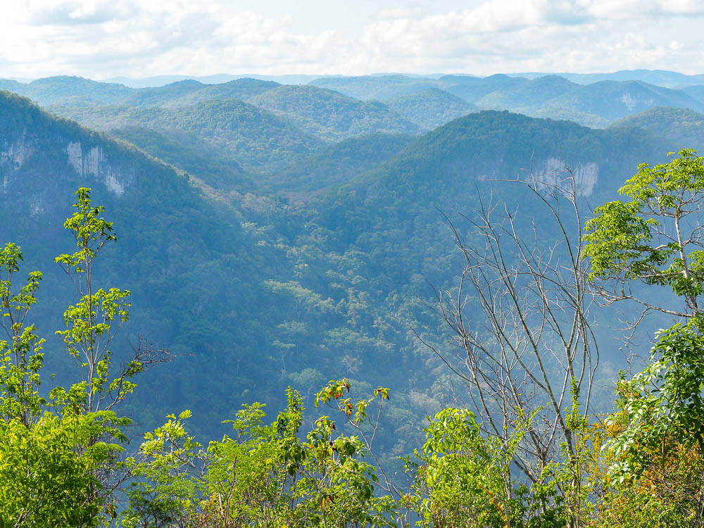 rainforest tour belize