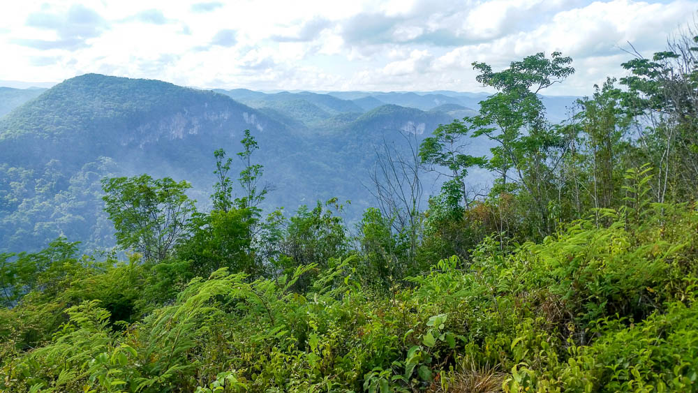 rainforest tour belize