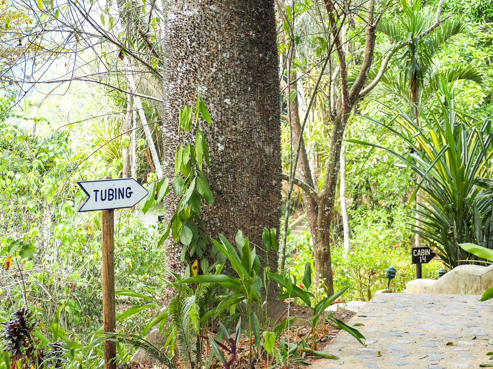 rainforest tour belize