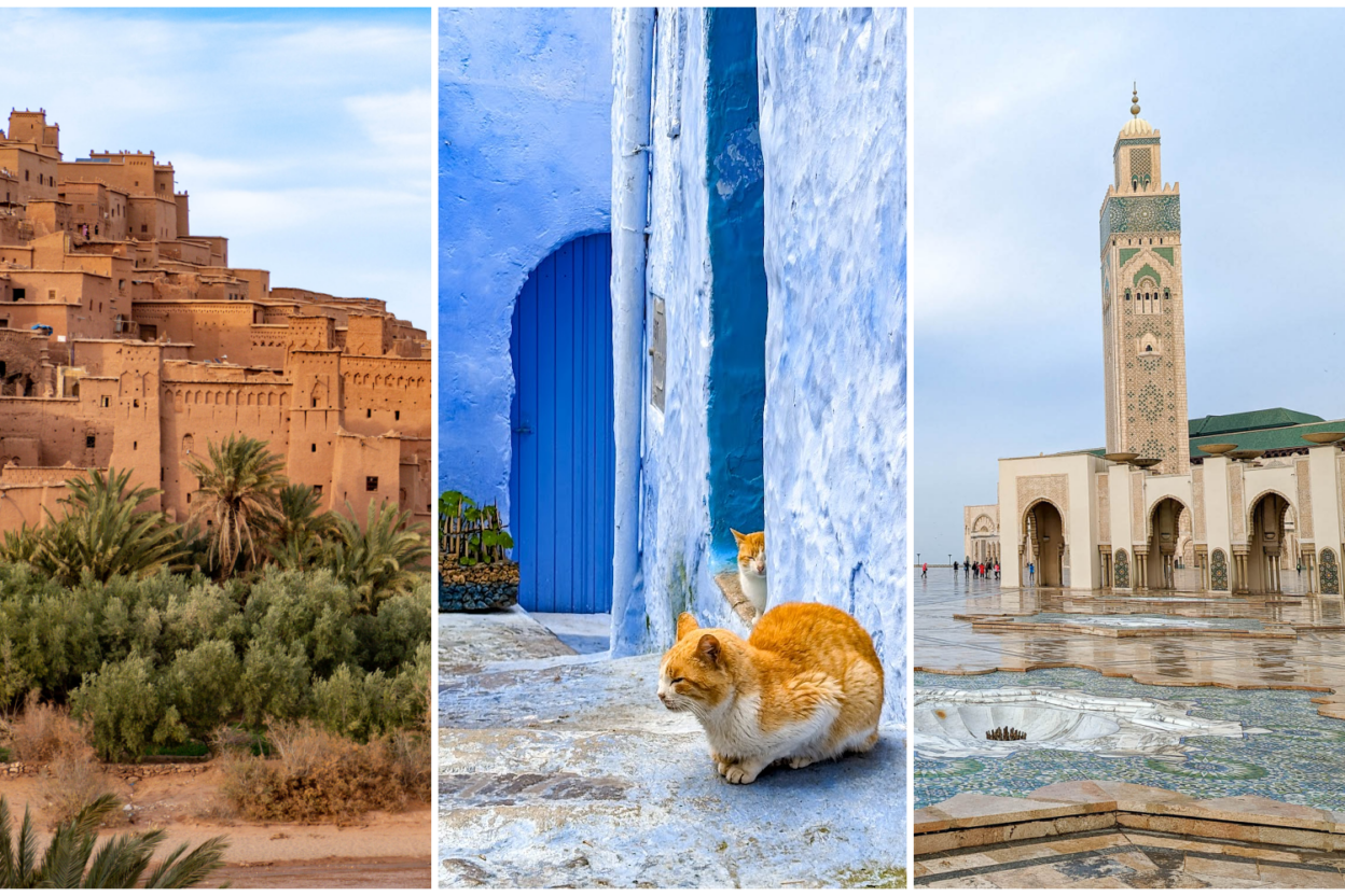 three images: an ancient kasbah, an orange cat sitting in front of a blue door, and a tan and green mosque on an overcast day