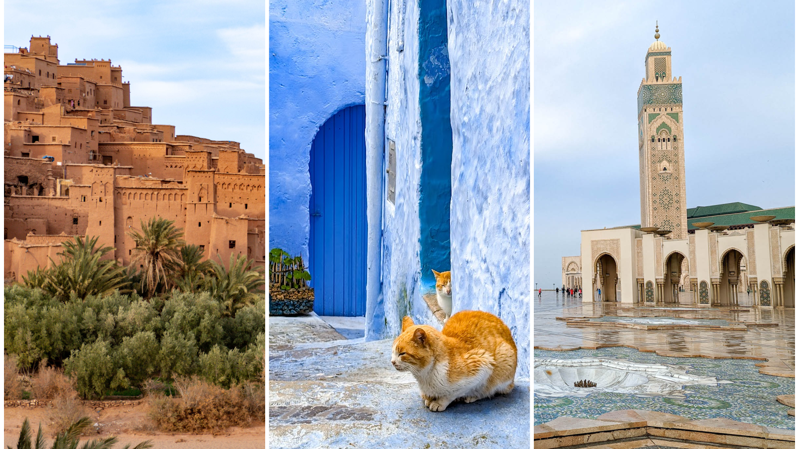 three images: an ancient kasbah, an orange cat sitting in front of a blue door, and a tan and green mosque on an overcast day