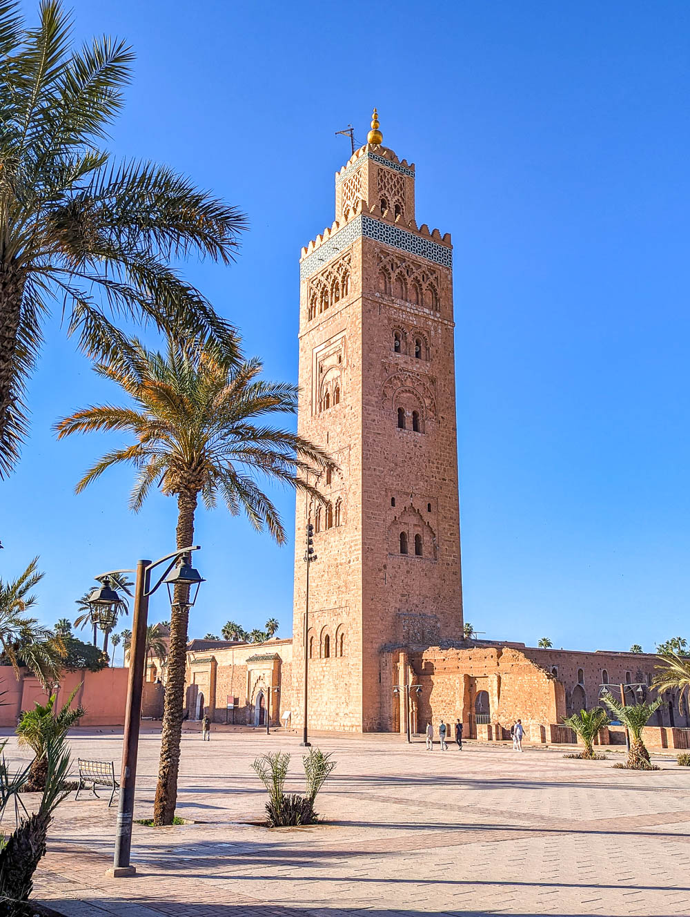 tall pink mosque in the sun behind palm trees