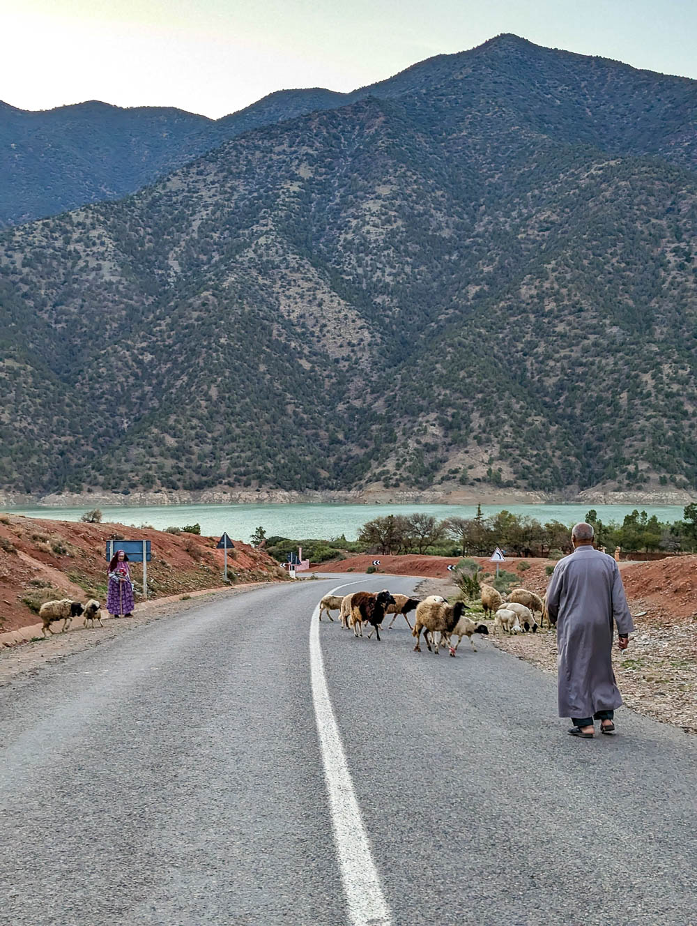 man in long gray robe chasing after some goats in the street