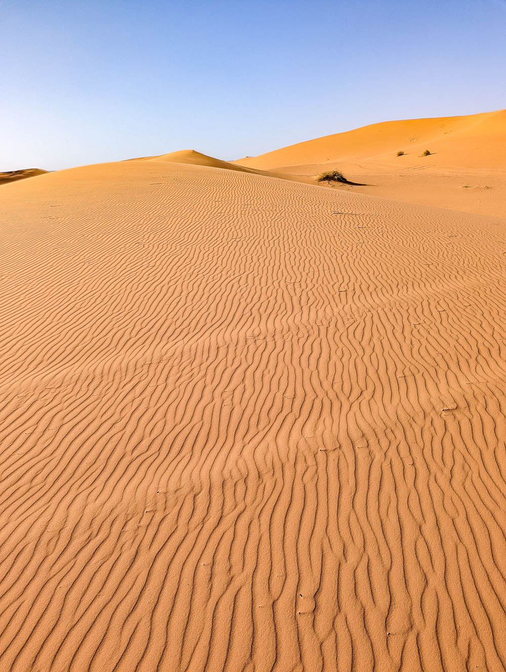 orange sahara desert sand dunes with ripples