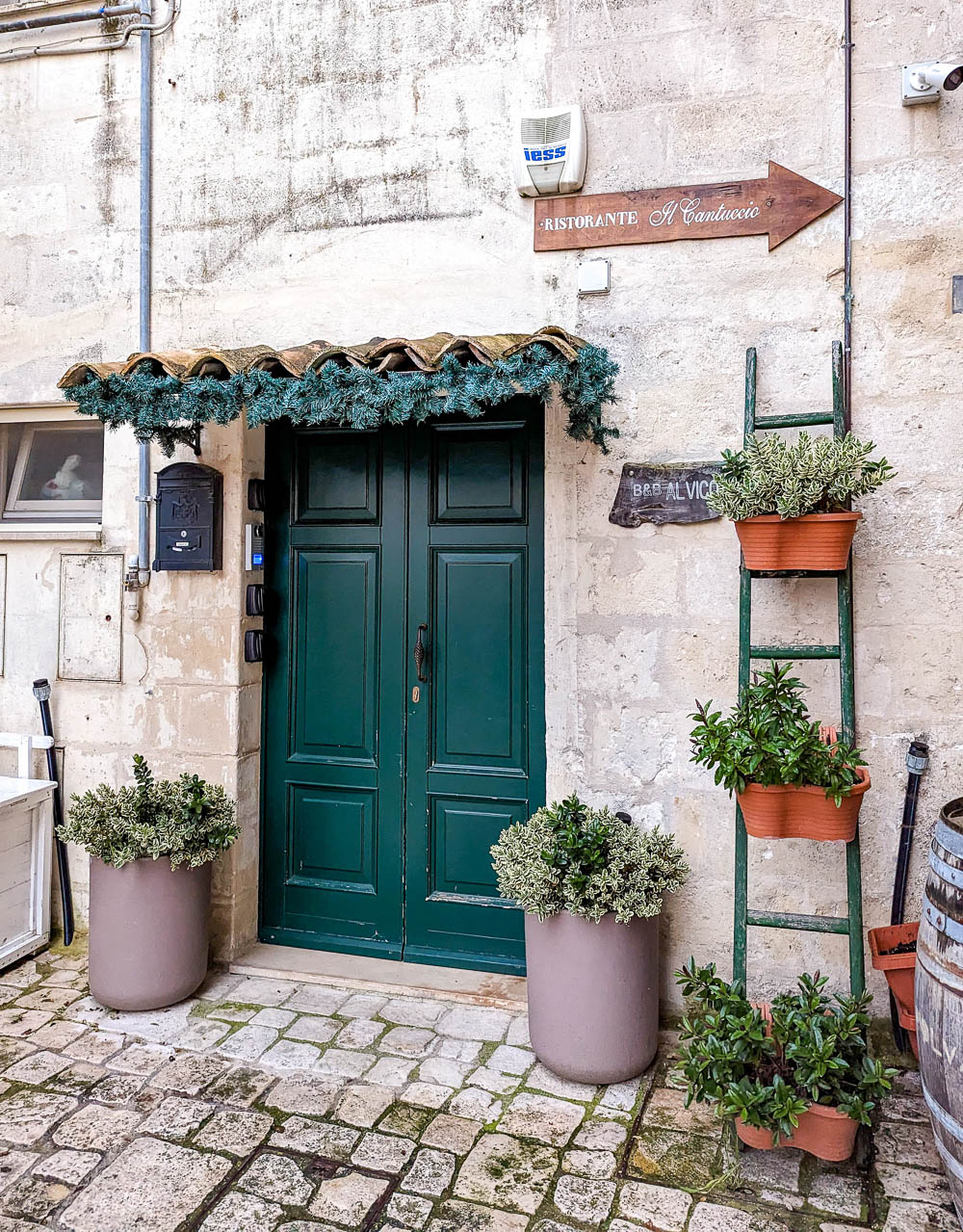 Dark green door surrounding by planters in front of a stone building