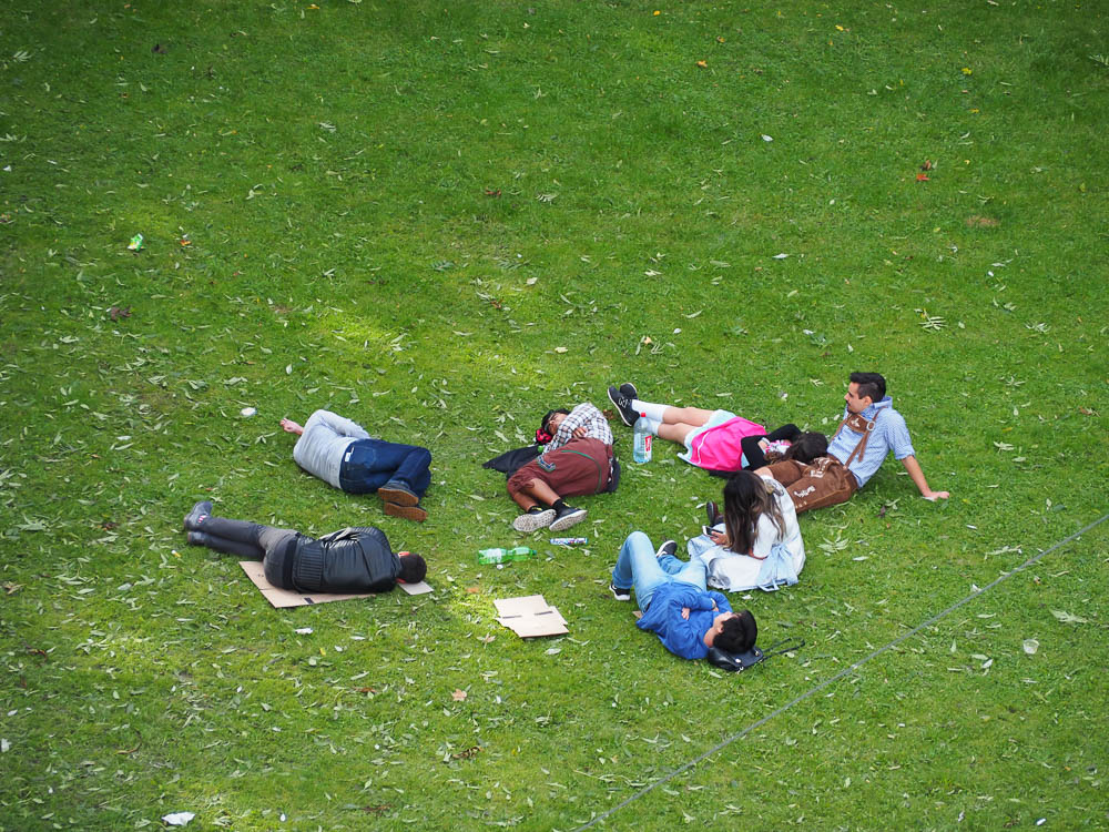 seven people asleep in the grass