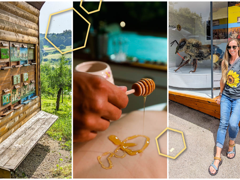 Triple image of beehives, drizzling honey on a person, and a women next to a giant honeybee
