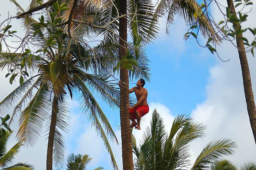 places to visit hawaii oahu