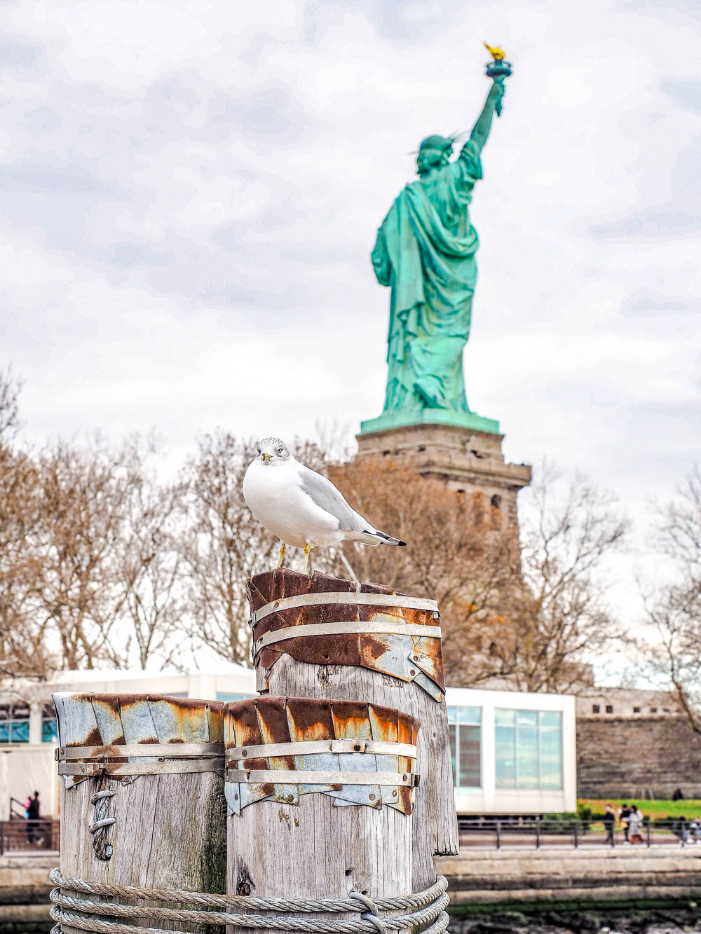 statue of liberty tour with pedestal access