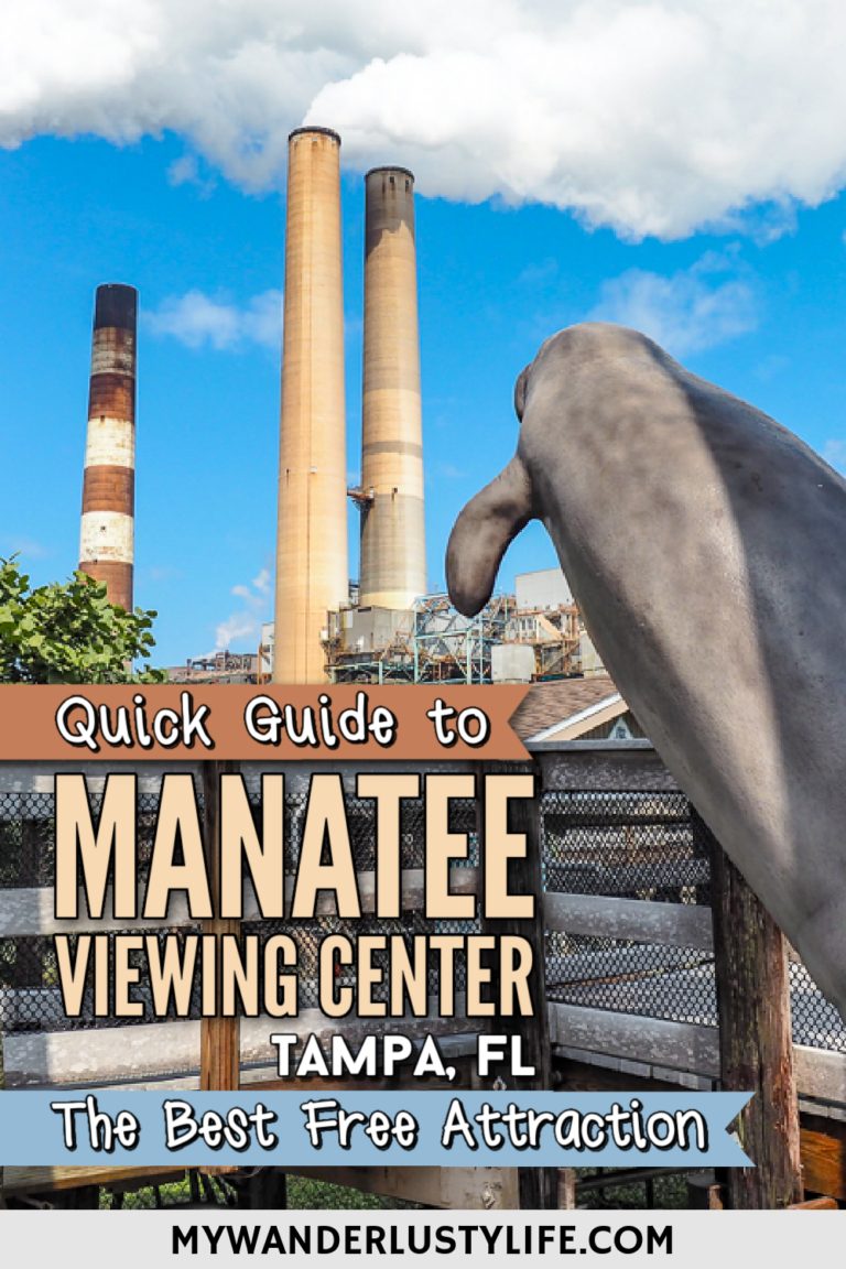 Viewing Center Quick Guide to Tampa’s Manatee Viewing Center (The Best Free Attraction!)