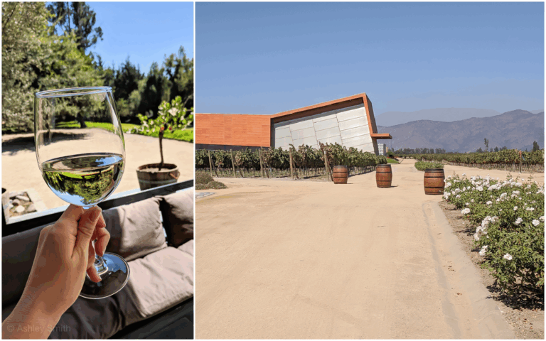 Wine Tasting in Chile: Casablanca vs. Maipo Valley
