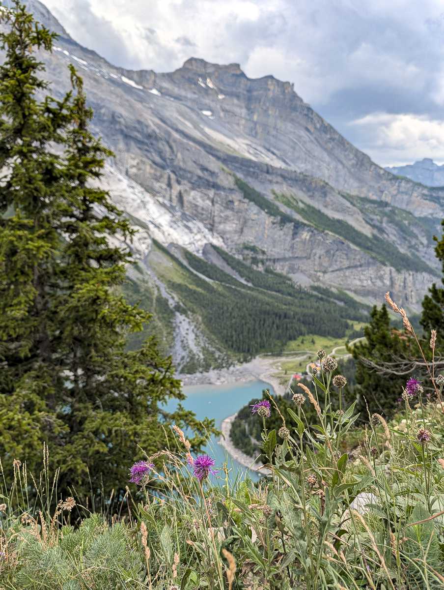 turquoise lake in the mountains with pink flowers