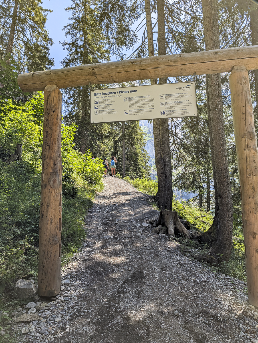 rocky trail in the woods