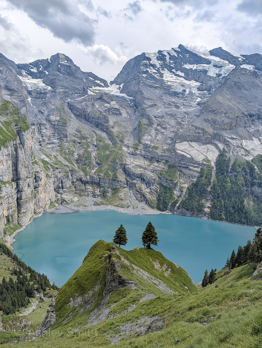 turquoise lake surrounded by green meadows and snowy mountains with two trees standing out